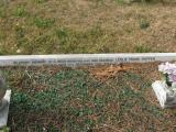 image number TNWELLRD 802